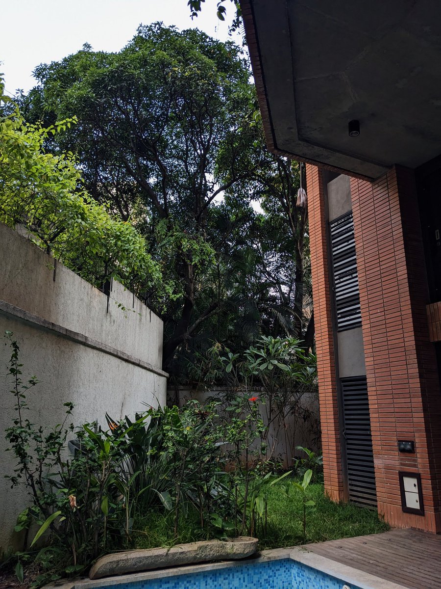 the greens with blues of old bangalore >>>>