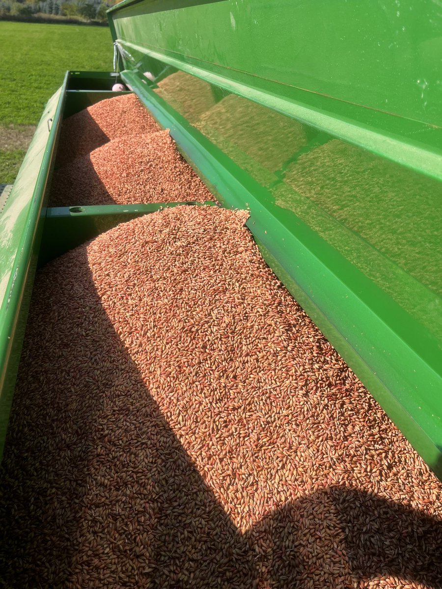 Scott Snyder tweet media