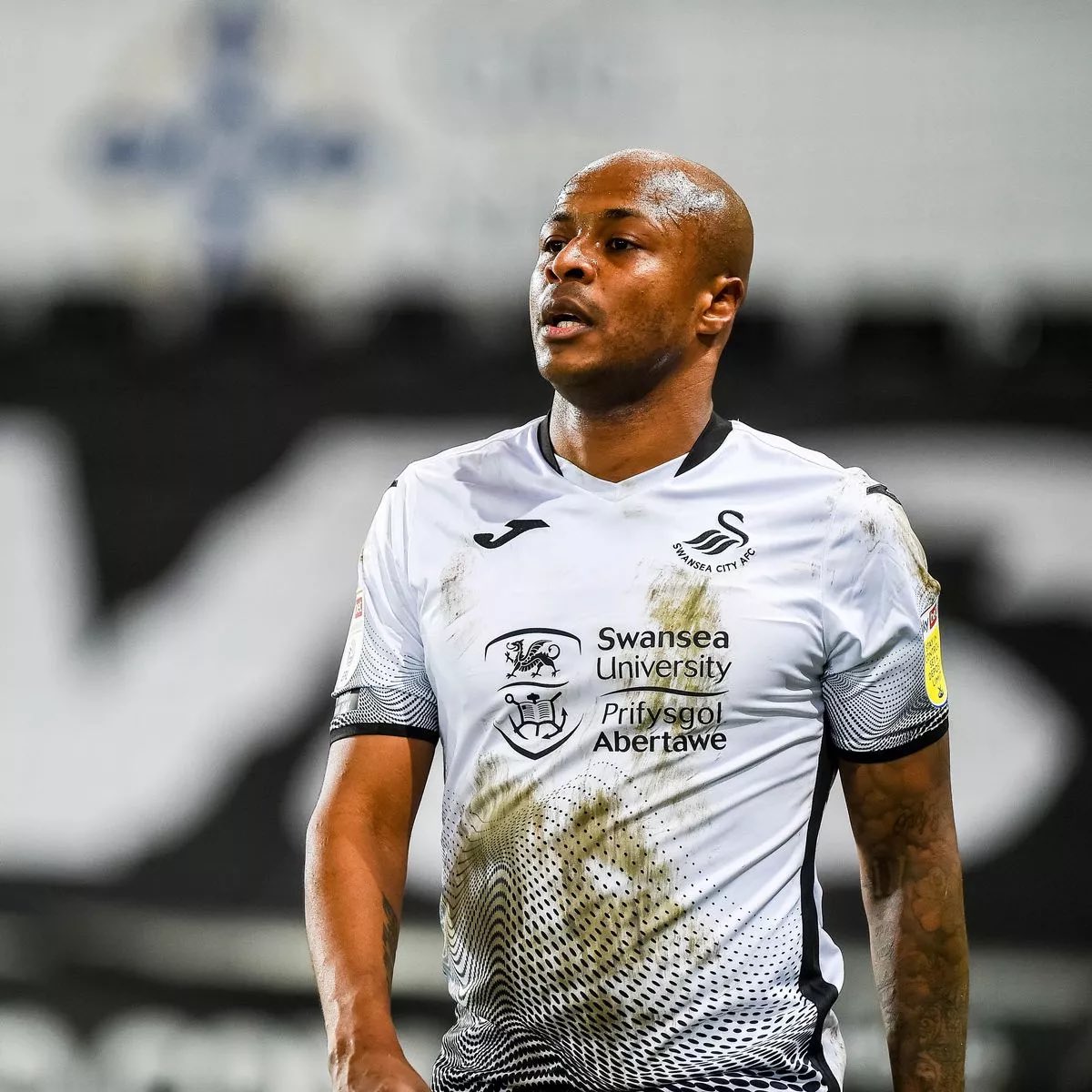 Random footballer of the day:

Former Swansea forward Andre Ayew.

#Swans
