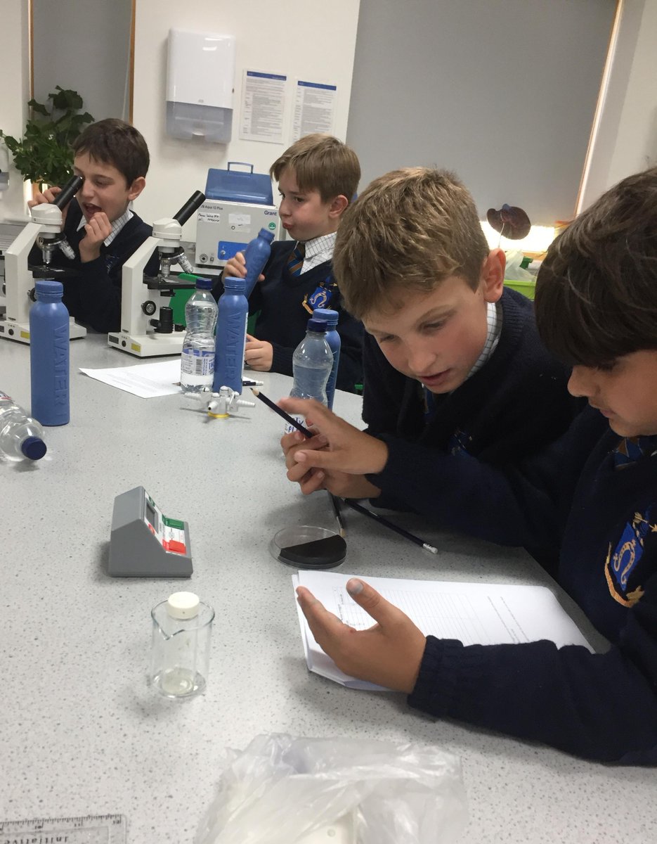 SJBWindsor's tweet image. Recently, a team of SJB scientists from Year 4 &amp;amp; 5 took part in the Bradfield Science Competition. More than 20 schools participated in biology, chemistry and physics practicals. They observed maggots, made a speaker, and tracked temperature changes. Thank you @bradfield_college