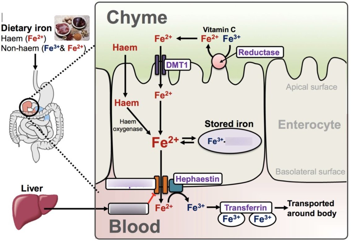 Skin issues are more and more common. So here’s how you can