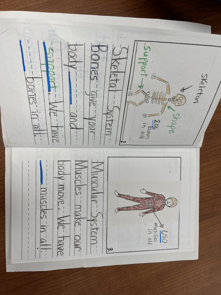 IsabelD2809's tweet photo. 1st grade is teaching about the human body @GoodmanES_AISD @AldineISD #MyAldine https://t.co/dXcBUqUEuk