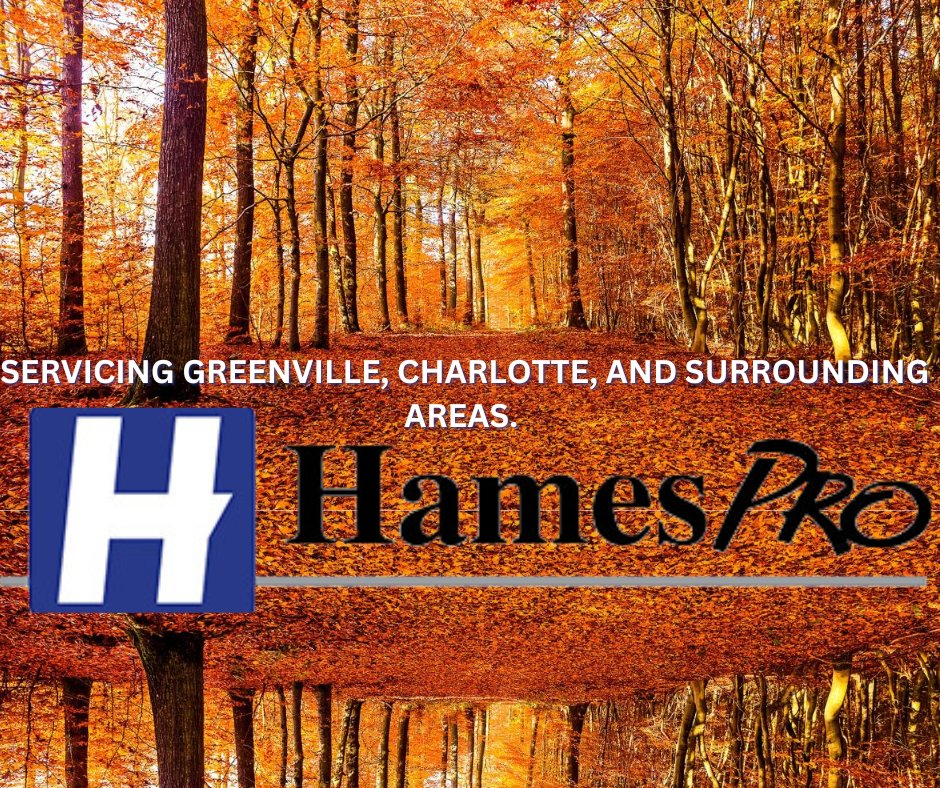 HamesPro's tweet photo. 🍂🍁🎃Happy FALL from the Hames Pro team. If you are looking to do any autumn upgrading, we are here to help! Schools, Churches, Offices, Funeral Homes, Live Music Venues, Fitness Centers, and MORE. Contact us through https://t.co/omw3fb5xgV for a FREE on-site consultation. https://t.co/9cNhkoMlzw