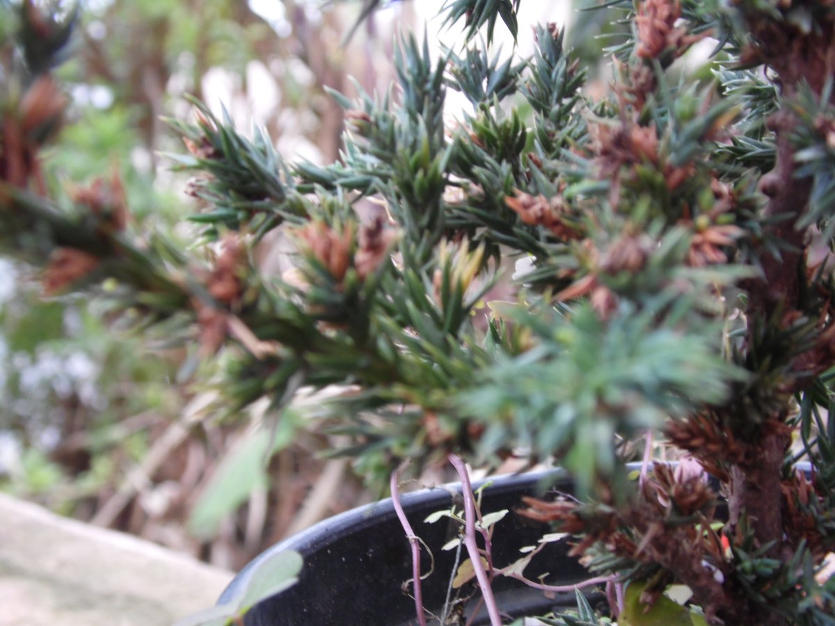 allexpedu's tweet image. #aleatorias #natureza #butanta