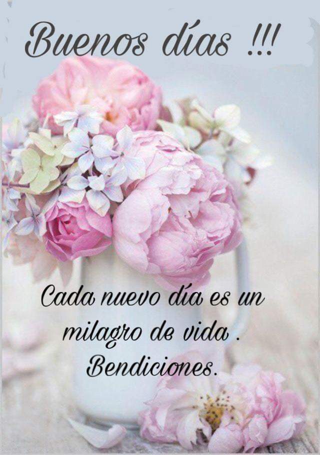 bettyresendizg's tweet photo. Excelente día 🤗 https://t.co/OIuGvaC9a3