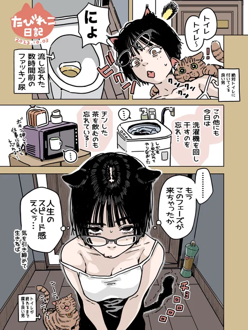 1日中なんか忘れてる 🧠✍️🤯🐈💨  たびれこ日記