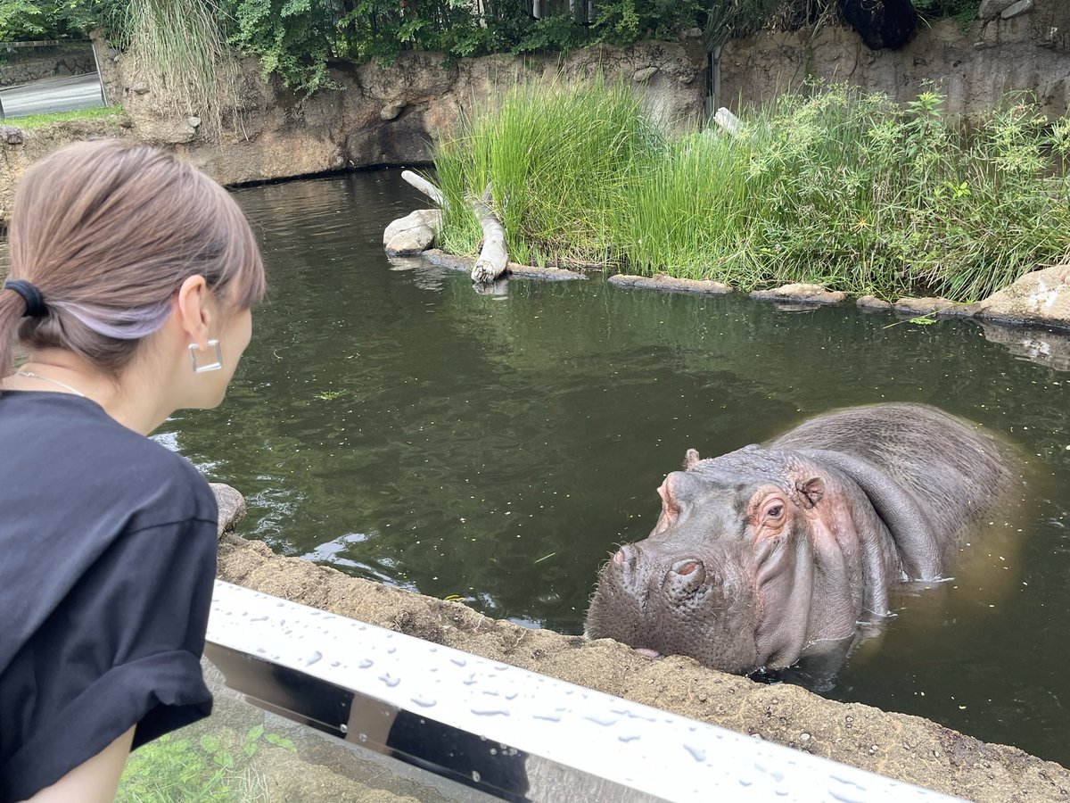 KKeiko_official's tweet photo. 写真集、いよいよ明日発売です！

（北川）

#神戸王子動物園 https://t.co/uzX00UFM5k