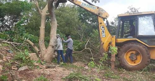 daijiworldnews's tweet image. Mangaluru: Tree cutting for flyover work begins, environmentalists oppose
daijiworld.com/news/newsDispl….
#mangalore #treecutting #flyover #roadwork #environments #greecity #daijiworld #daijiworld247 #daijiworldnews #daijiworldnews247