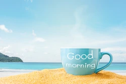 ALL IN ON CRYPTO ™ tweet media