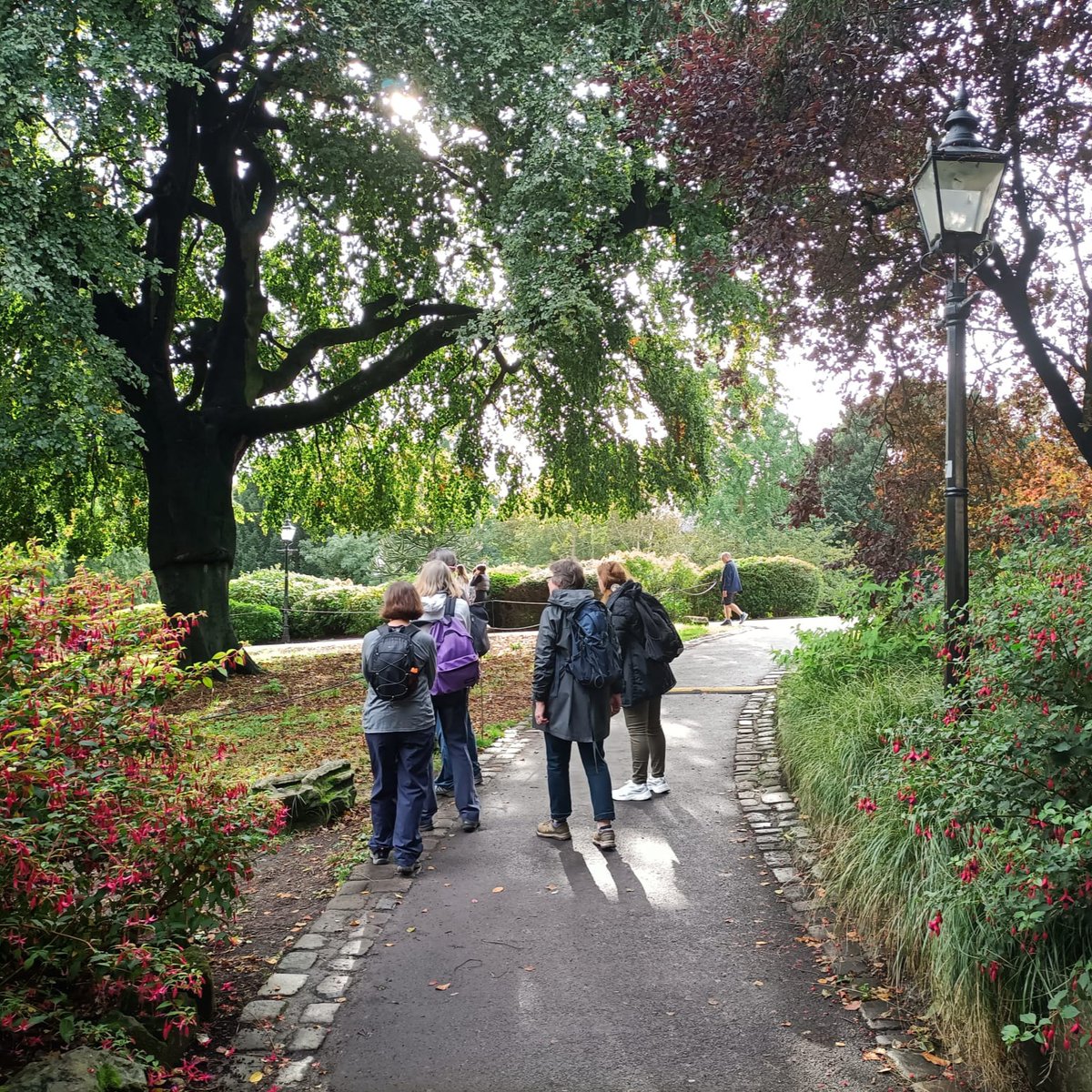 YorkBikeBelles's tweet photo. Thanks to everyone who came on our #RemarkableTrees Walk at the weekend! We strolled from the Riverside through the Memorial and Museum Gardens to Dean's Park. We got to know some of the wonderful trees in the area, and each other!π #LifesBetterWithTrees https://t.co/ZaFqAdbR6S