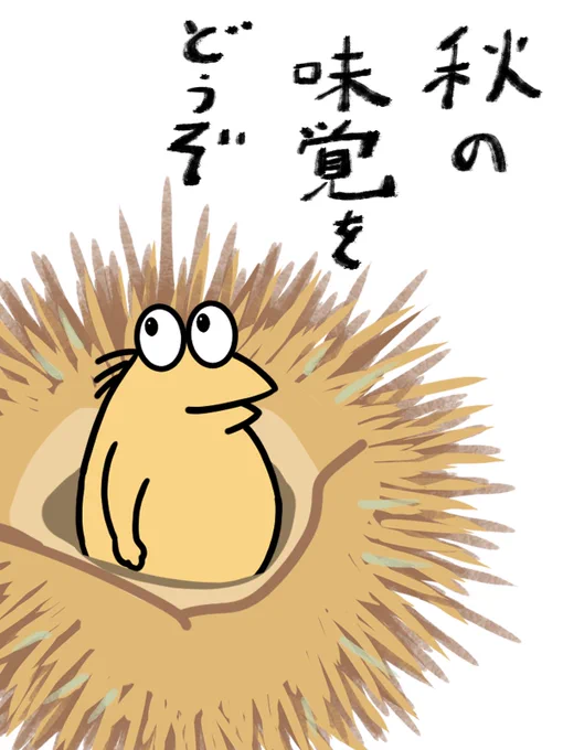 #イラスト #栗
栗売ってた 