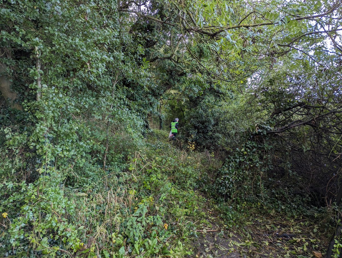 Today we were out in Hexthorpe park removing and surveying the litter from the banks of the Don! #AllHandsOnTheDon #Rivers #PreventingPlasticPollution