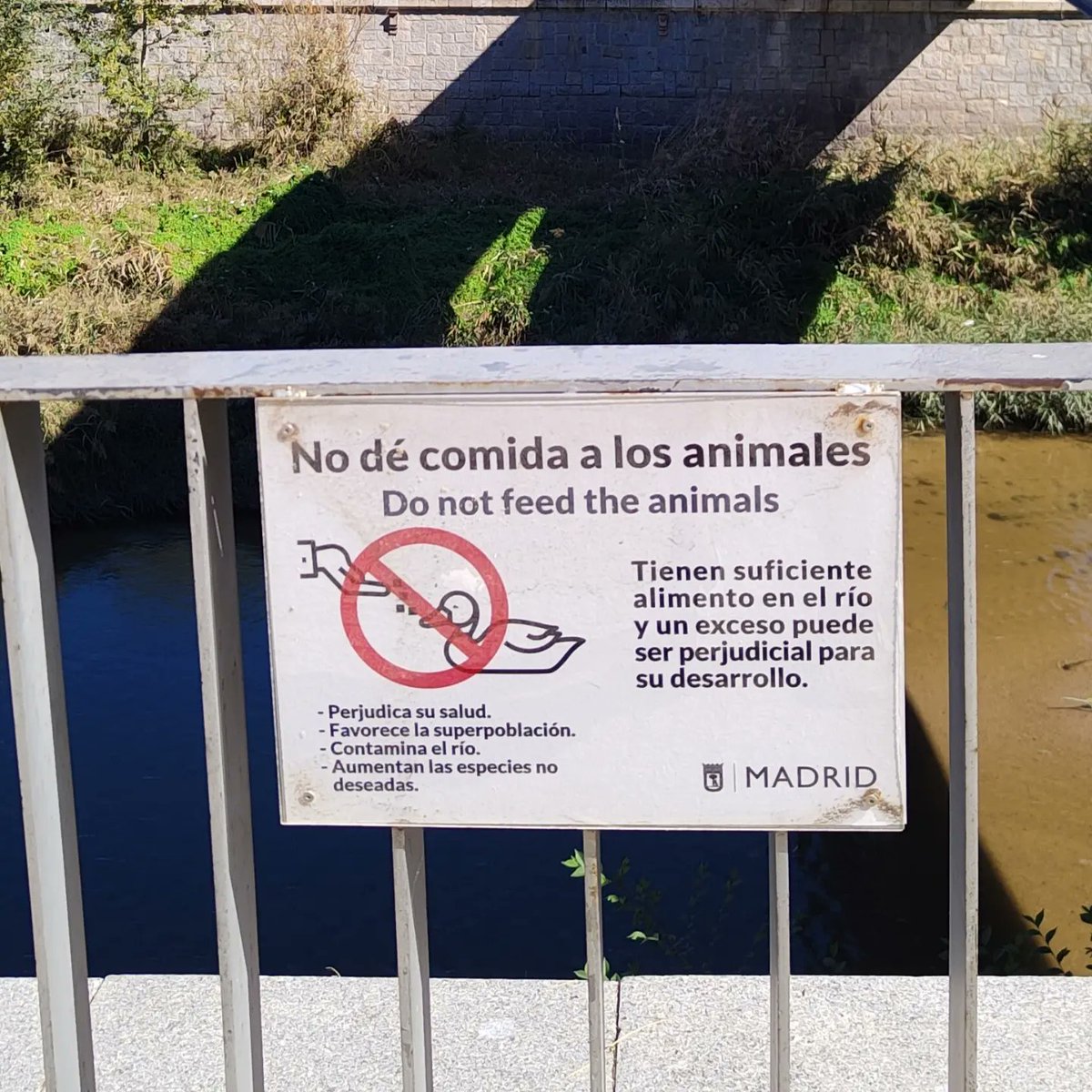 dosjotas2js's tweet image. &quot;No a la tala&quot;, Madrid 2023