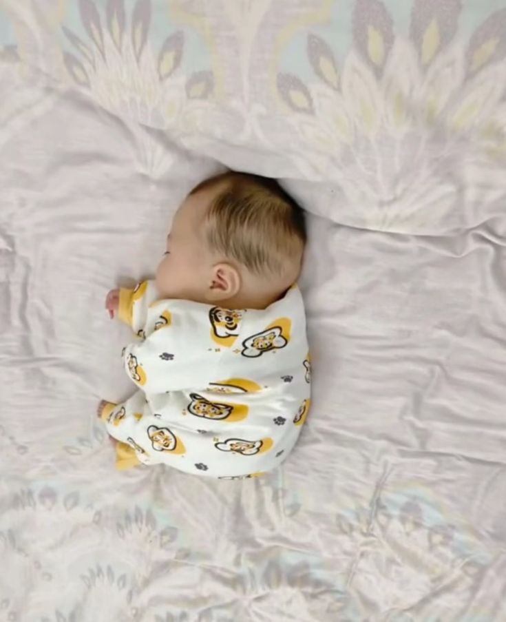 arsakalaa's tweet photo. baby gee's sweepy👶 https://t.co/7bZZpVXzFp