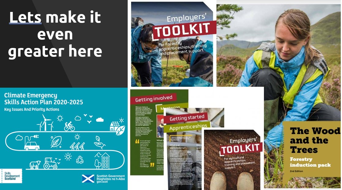CIEEMnet's tweet photo. How do we get more young people and career changers into forestry? Dr Liz Barron-Majerik from @LantraScotland outlines some of the challenges but emphasises the importance of working with educators to encourage young people into sustainability and forestry #TwentyTwentyTree https://t.co/qcA2nQiap5