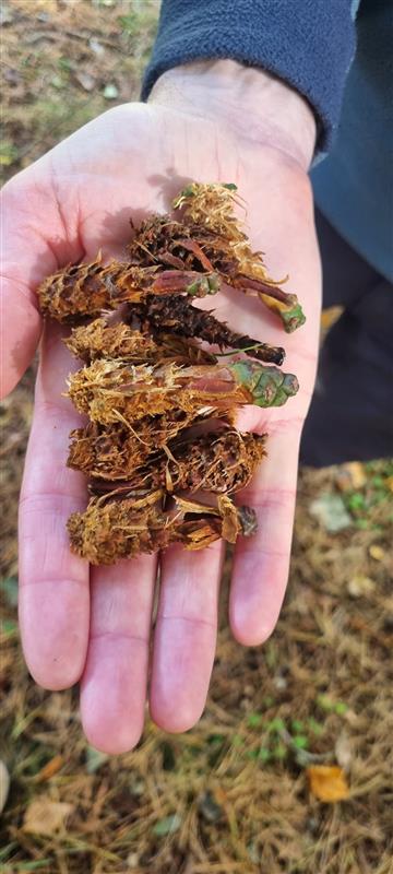 NatureScotSouth tweet media