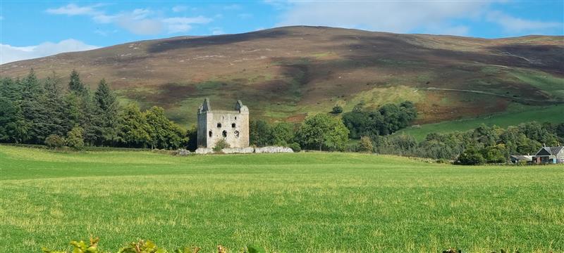 NatureScotSouth tweet media