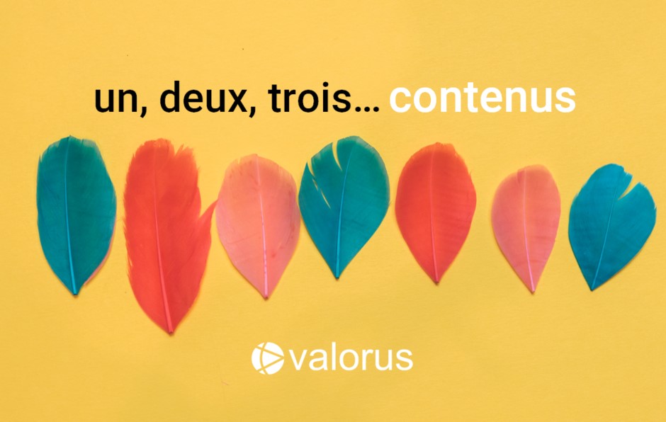 ValorusGroup's tweet photo. Mettre en récit votre organisation vos métiers vos actualités... tout ce qui façonne votre ADN et participe à votre singularité c'est le job du Pôle #Editorial de #Valorus : article #livreblanc #vidéo #podcast + promo (achat d'espaces #pub programmatique partenariats médias...)👍 https://t.co/uO9fHybgyg