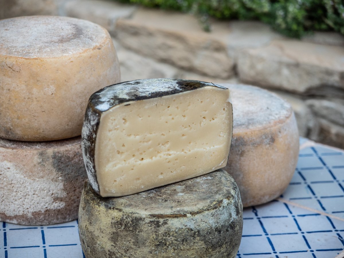 Taste the past, shape the future: Sinnos' heritage-inspired cheeses 🌄🧀  #thecheeseprofessor #Cheese  

Click the Link in Our Bio for More!

Story by  LUCIANA SQUADRILLI 
<a href="/squadrilla75/">luciana squadrilli</a>  
<a href="/DomuAntiga/">Domu Antiga</a> 
 
cheeseprofessor.com/blog/sinnos-sa…