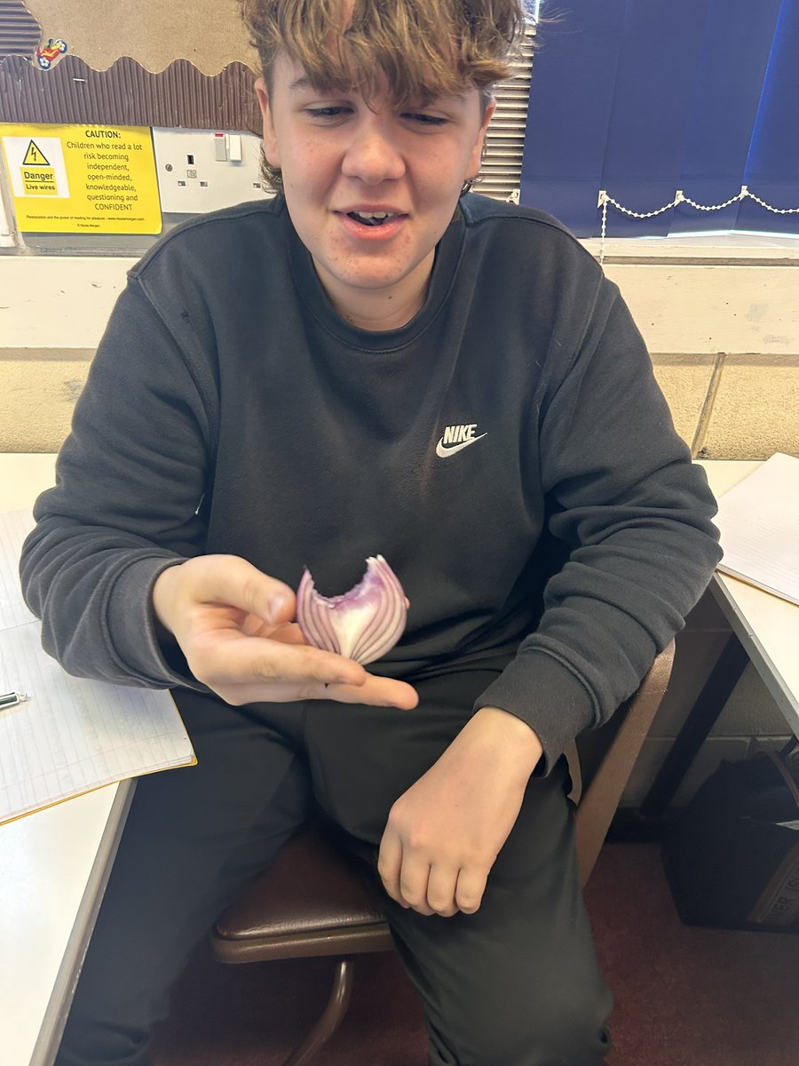 Miss Laidlaw’s S3s have begun studying Duffy’s ‘Valentine’! We spent the period exploring the look, feel, smell and taste of an onion and how it compares to love! 🧅❤️ #CarolAnnDuffy #DyceEng #ACC