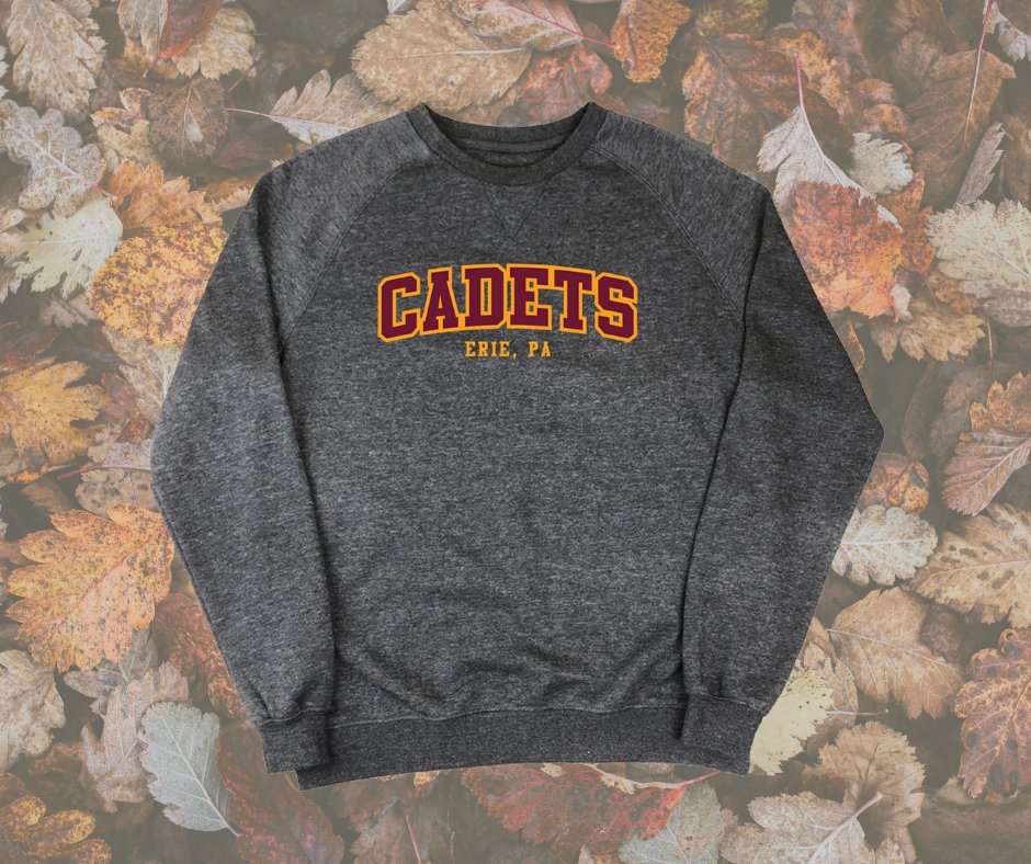 We're loving this cozy sweatshirt for fall! Get yours now or shop more warm-weather apparel at shop.cadets.org/apparel/hoodie…

#thecadets