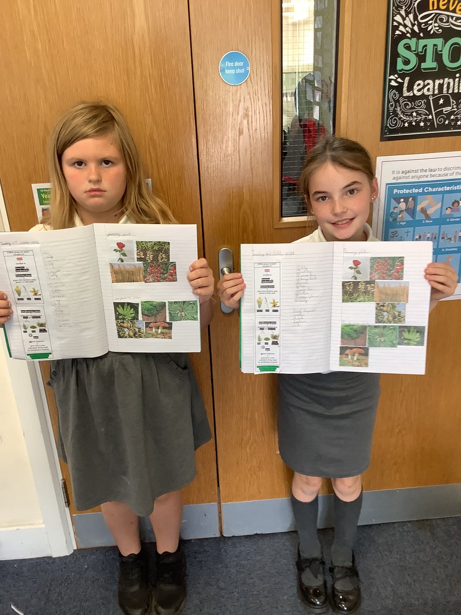 CroxbyPrimary's tweet photo. Look at our beautifully presented science work in our new books! This afternoon we have been learning how to group different plants.Well done girls! #croxbymagic https://t.co/5gykQ5PqIC