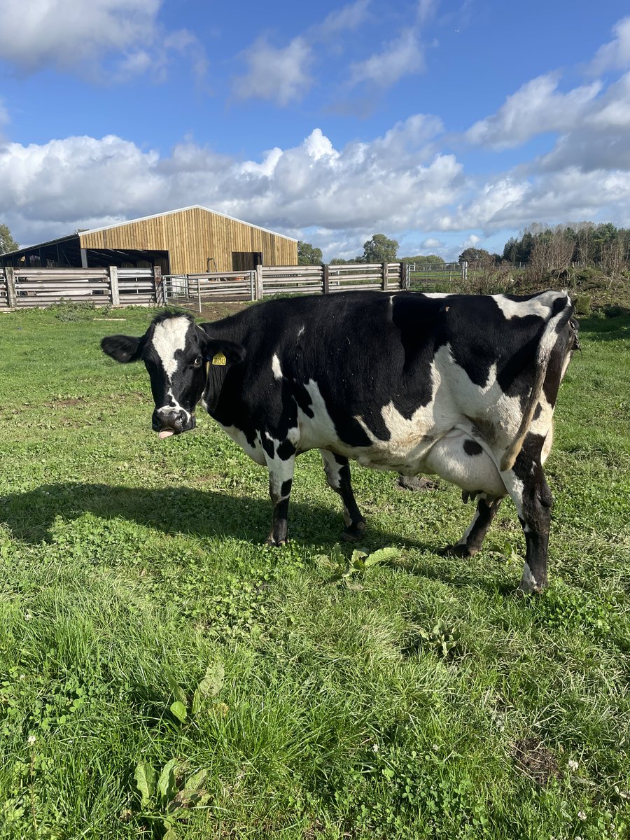 Sam Adams tweet media