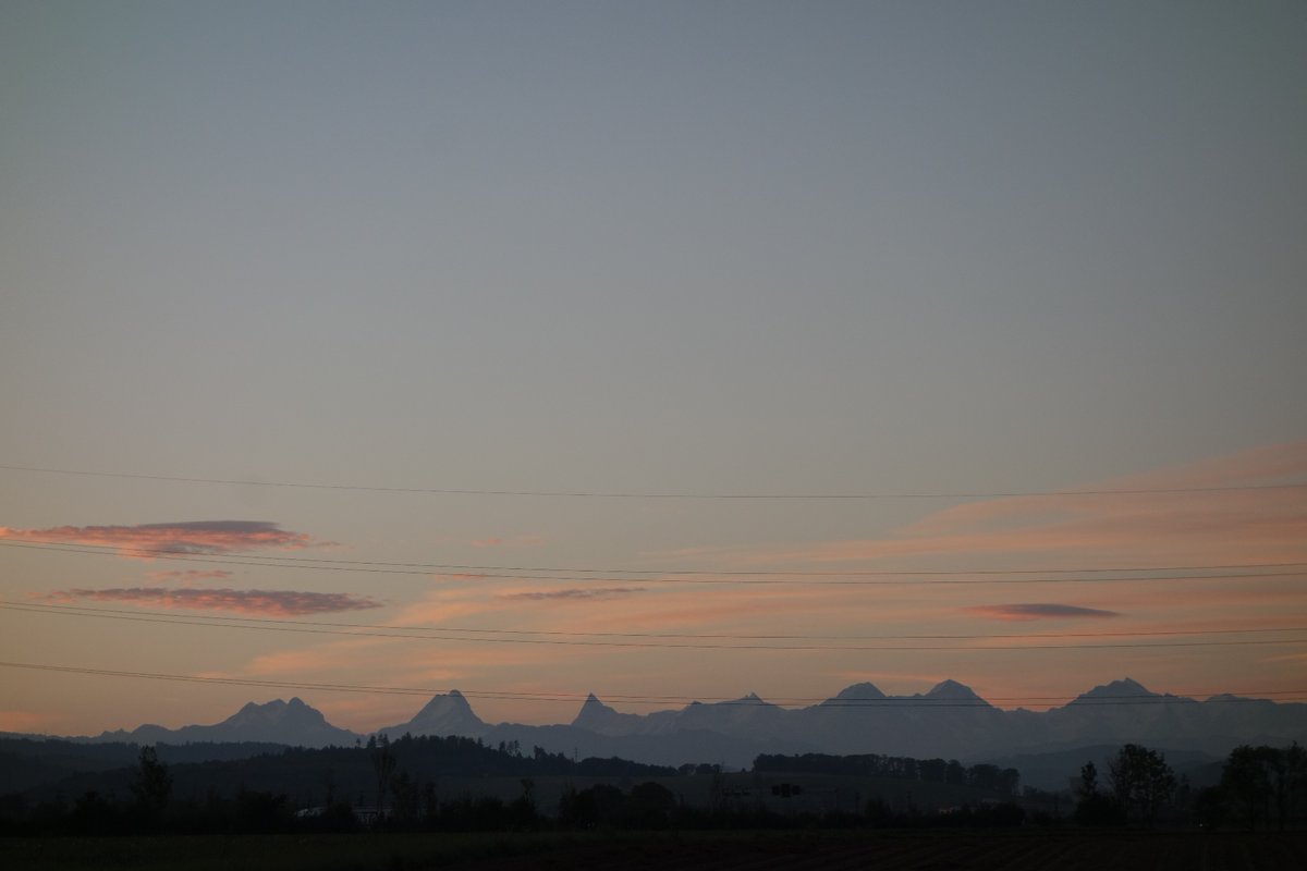 Heute morgen ganz in der Nähe von zu Hause 🇨🇭