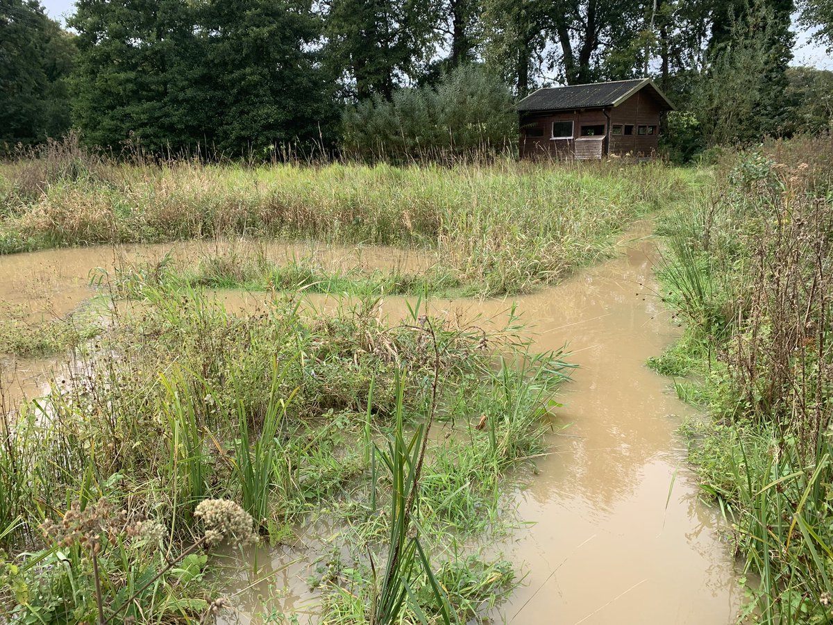 Gardening 4 Wildlife tweet media