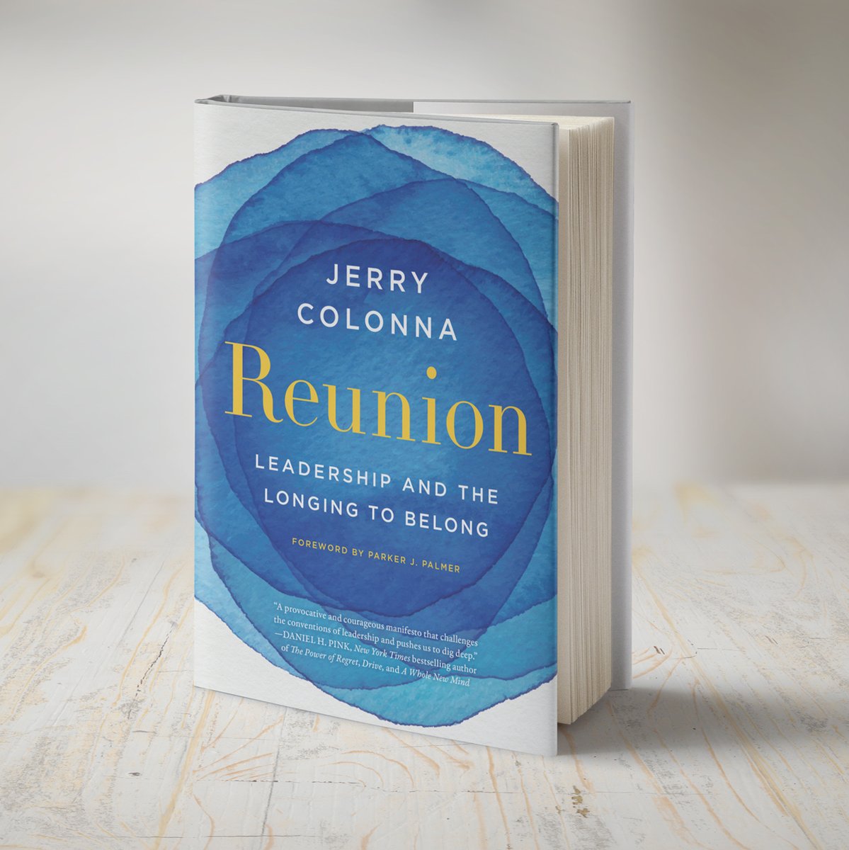 jerrycolonna's tweet photo. Are you with me?  Learn more about the #ReunionJourney here: https://t.co/IJmilNRqTi

#Reunion #RadicalInquiry https://t.co/JHgqfxXqVc