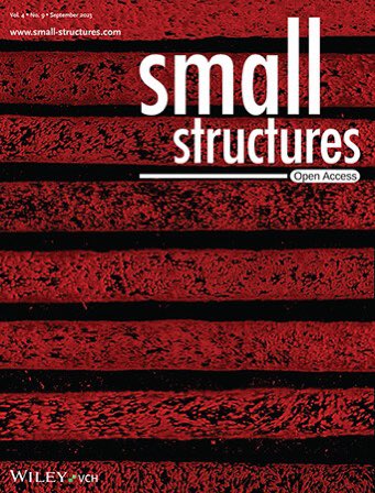 Our synthetic hepatic vessels generated under diseased conditions have been selected for the inside cover of Small Structures. Check out the publication here: onlinelibrary.wiley.com/doi/10.1002/ss… #HCC #Organchip #organonachip #inflammation #cirrhosis #hepatology #wiley