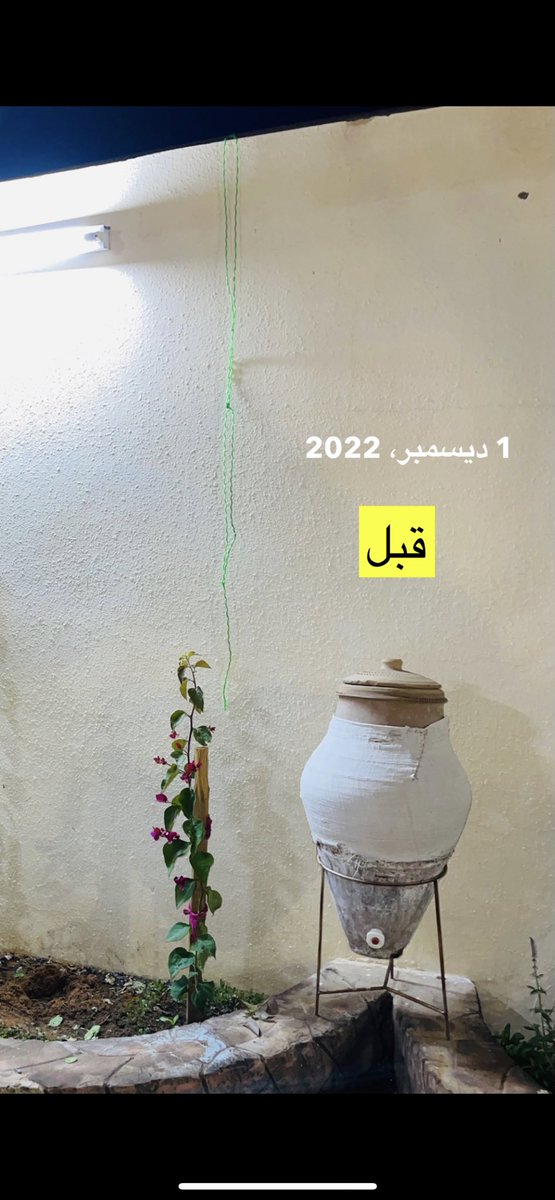 فرحـان الشلاقي 🌱 tweet media