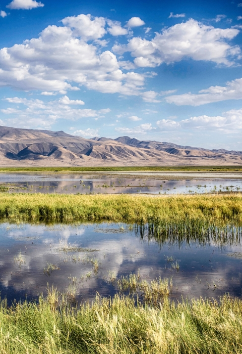 Interior's tweet photo. Wetlands are not only beautiful, but they are also one of the most productive and biodiverse habitats in the world. They provide valuable stopover sites for migratory birds, supply clean drinking water, reduce flooding and offer incredible recreational opportunities. https://t.co/WQxVzGeO7h