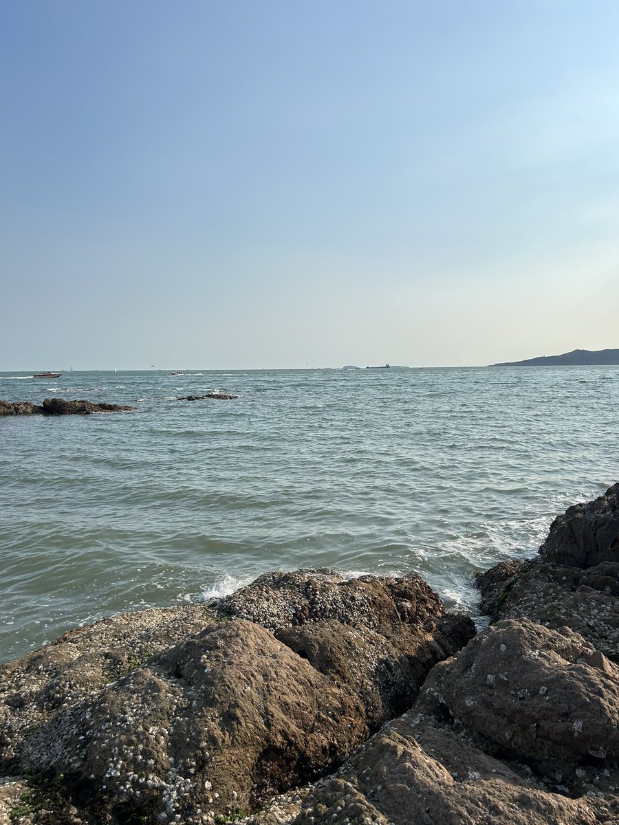 $ARB 完美逃顶+去见了想见的人，难熬的市场牛市还会远么