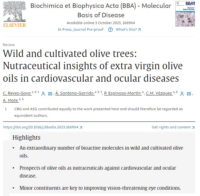 Z8AS's tweet photo. We've published a review of the effects of olive oil (Olea europaea) and wild olive oil (Olea europaea, L. var. sylvestris) on cardiovascular and ocular diseases on @BBAjournals
#eye #ocular #disease #olive #oil #acebuche #health #cardiovascular #research 
https://t.co/XOr7kwm4zP https://t.co/cShK9ijj81