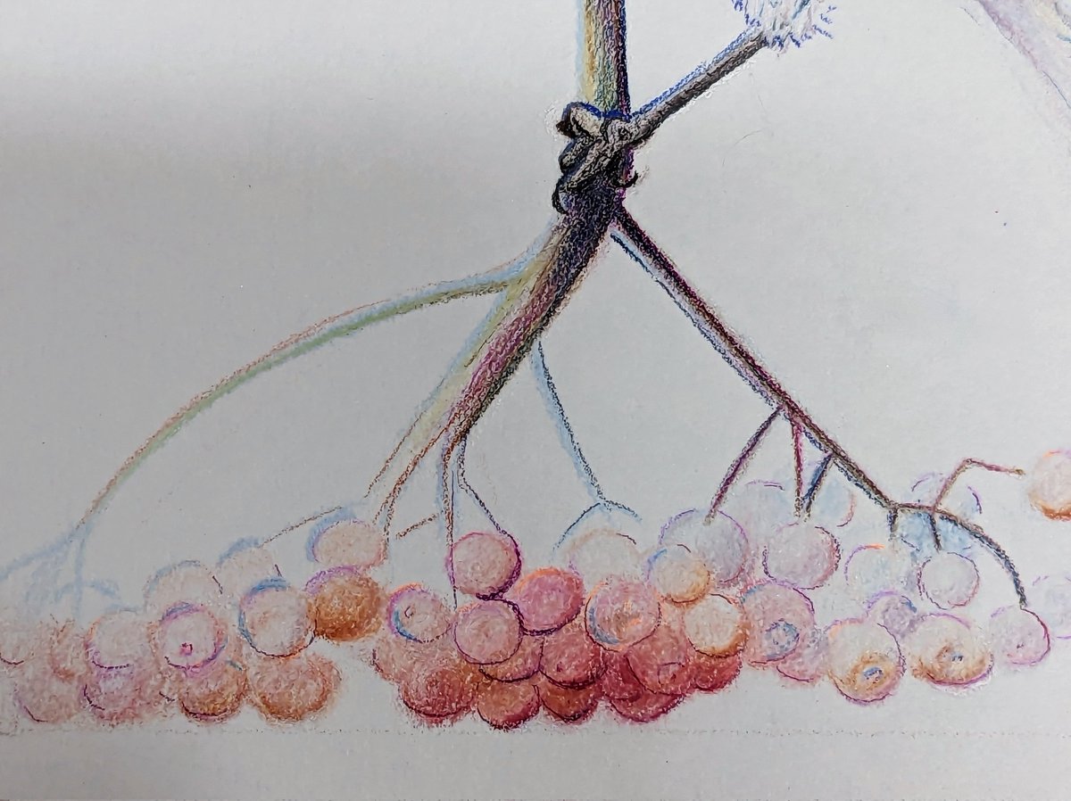RichterAllison's tweet photo. 🎨🌿 Experimenting with Colors! 🖌️✨
I wanted to give the illusion of brown branches for the bluebird.🐦🌳 Adding blues and golds created warm and cool tones, making the branch come alive. 🌈🎨 Tried this? Share your experiments below! 😊👇 #ArtInspiration #ColorBlending https://t.co/Mupnsf4DTQ