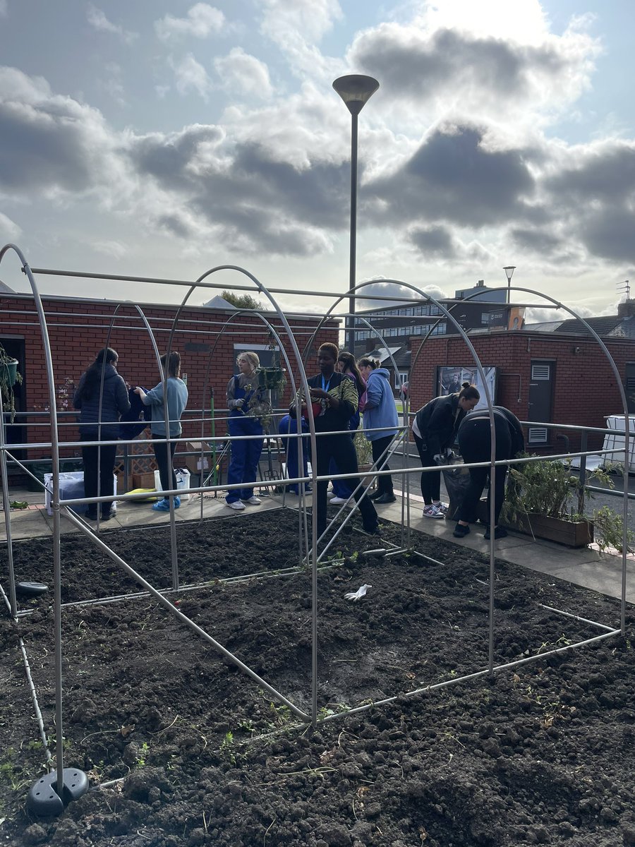 SunderlandOT's tweet photo. An afternoon in the garden with first years. That’s all the spring bulbs planted #activityanalysis https://t.co/clNWkHkP1l