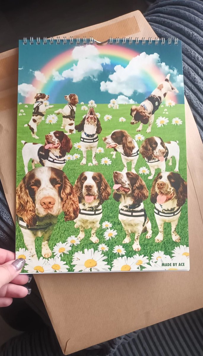 Someone is gonna be really happy with ozzy's calender in the new year 💚 <a href="/NorthcottSchool/">Northcott School and Sixth Form College</a>