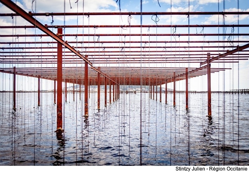 Région Occitanie tweet media