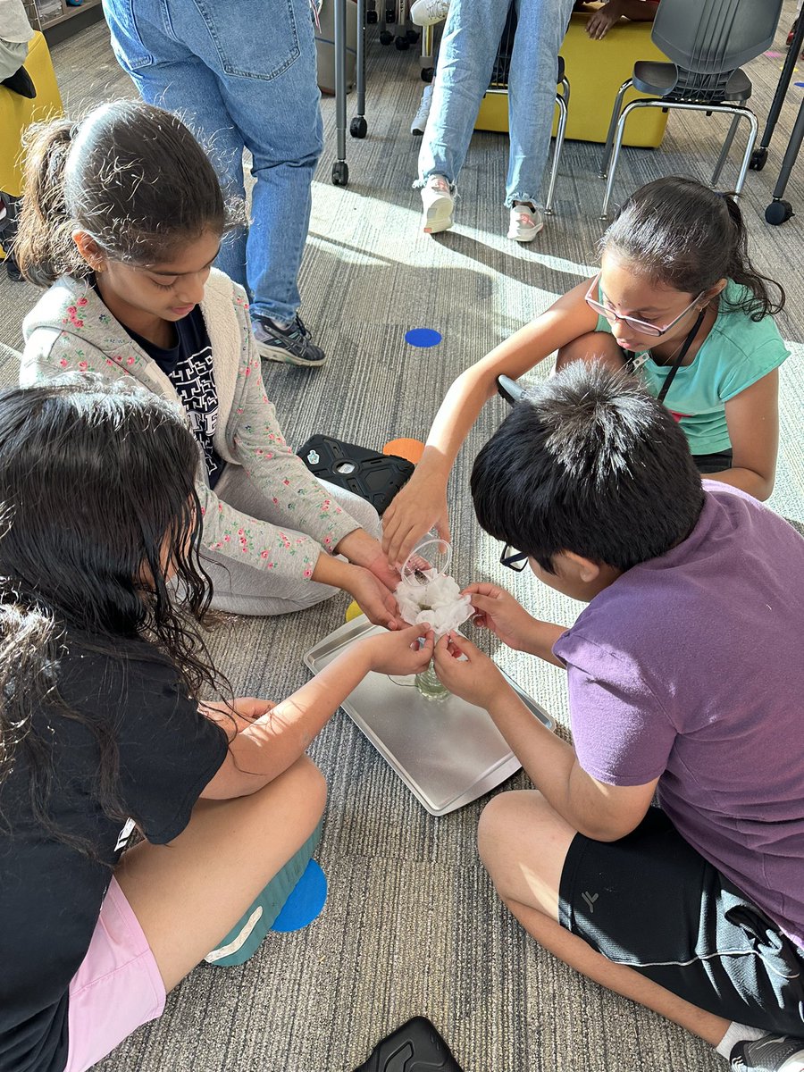 Katie Cassidy tweet media