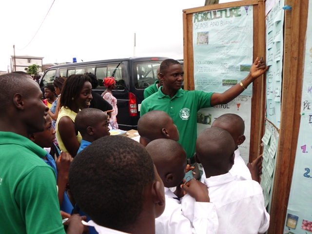 Green Cameroon tweet media