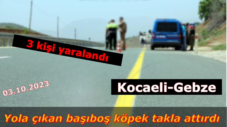 🚑Başıboş köpeğe çarpmamak için takla attı
🏥3 kişi yaralandı
📍Kocaeli - Gebze

<a href="/TrafikEgm/">EGM Trafik Başkanlığı</a> <a href="/KarayollariGM/">Karayolları Genel Müdürlüğü</a> 

Balçık Mahallesi'nde meydana gelen kazada, yola çıkan başıboş köpeğe çarpmamak için manevra yapan araç takla attı. 

Olay yerine sağlık, itfaiye ve jandarma ekipleri