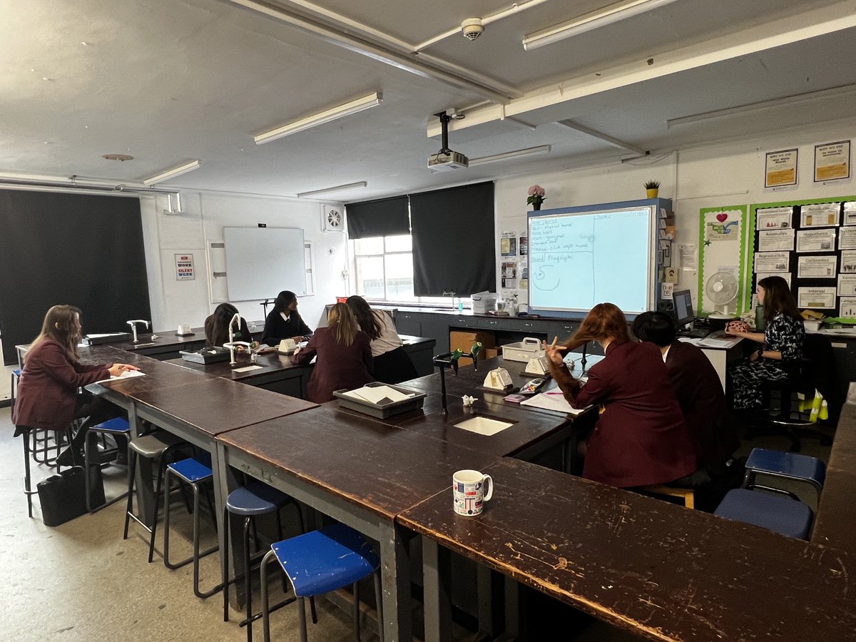 Year 11 Biologists are busy in the after school revision session being run by Miss Thorp this evening. Preparing for the upcoming core subject assessments.