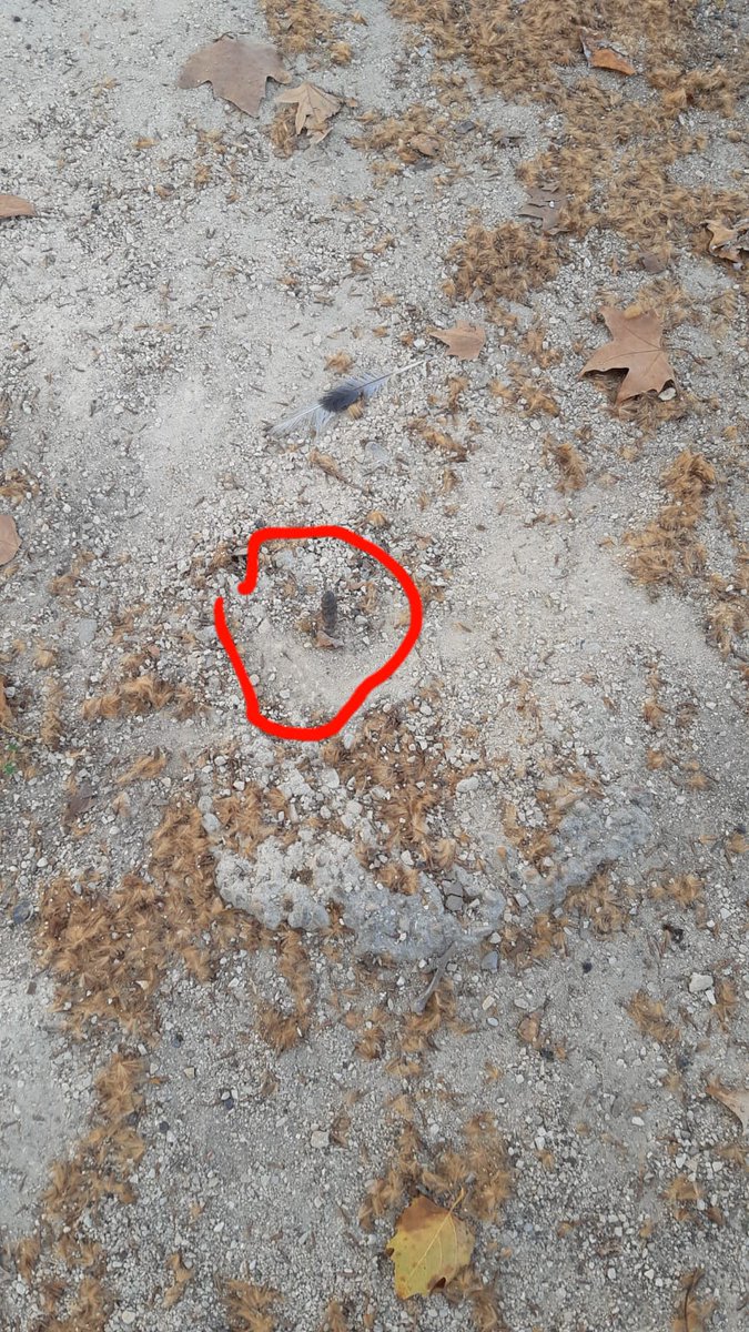 foreverhappy37's tweet photo. @mjosecatala @joanribo @SocialistesVal En el parque de Musico cuesta han arrancado una de las mesas que hay dejando los clavos q las sujetaban, ya han caido varias personas mayores q van a por el autobús. Solucionenlo urgentememte https://t.co/XPh3QpIaj3