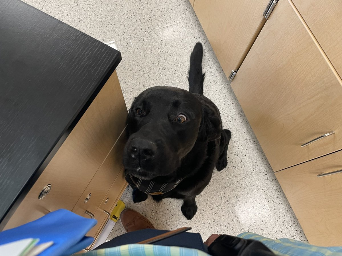 JayReutter tweet media