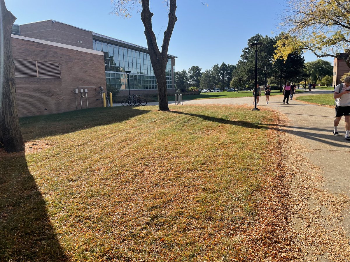 Good morning! We love to see the leaves changing colors while the sun is still shinning bright! #SVSUSAFE 🍁
