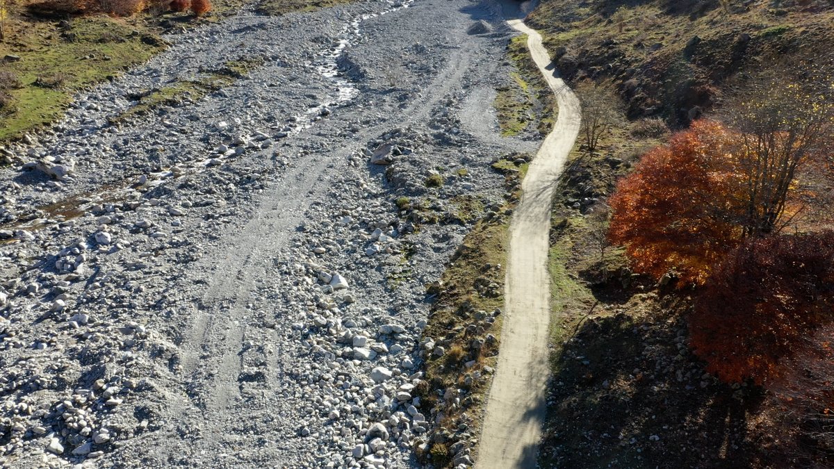 PITER ALPIMED tweet media