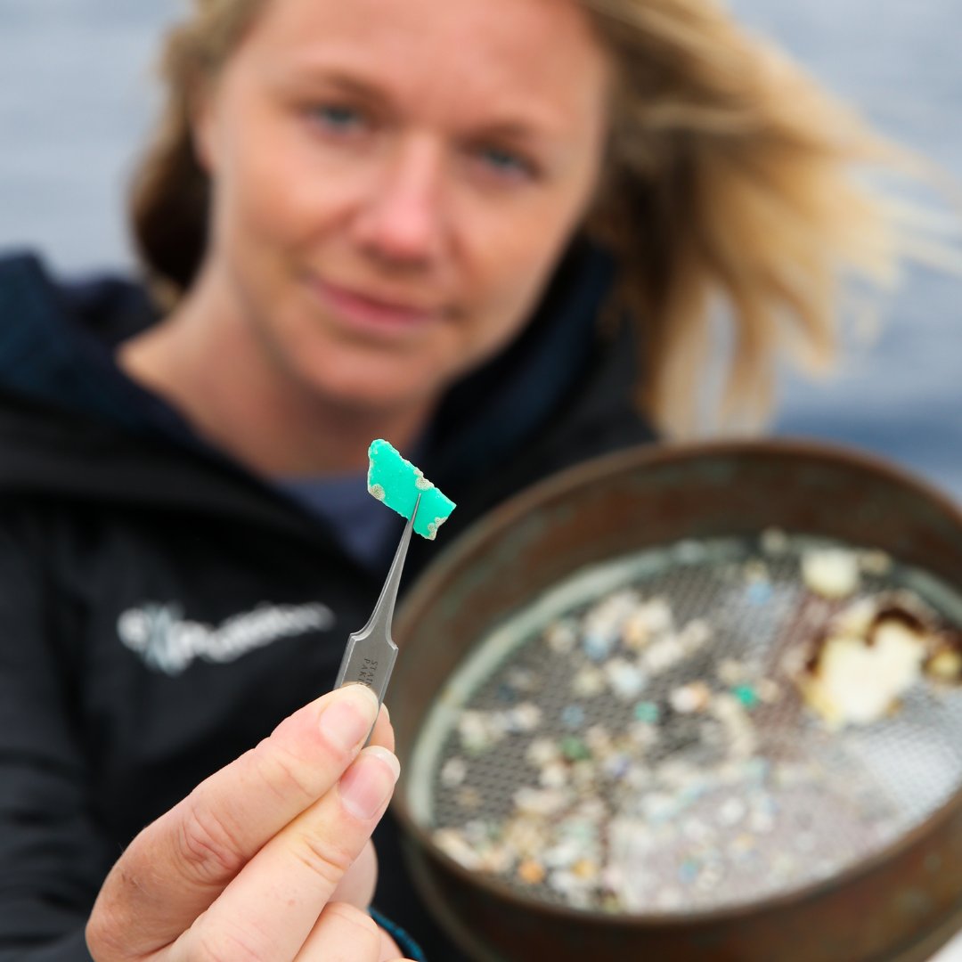 eXXpedition's tweet photo. Increasingly #microplastics are being discovered in obscure places; at the top of the tallest mountains and at the deepest parts of the #Ocean, and now in our bodies.

Click the link to see what Environmental Science &amp; Technology latest study has found... https://t.co/ta48VUV61H https://t.co/JHlXdUe29O