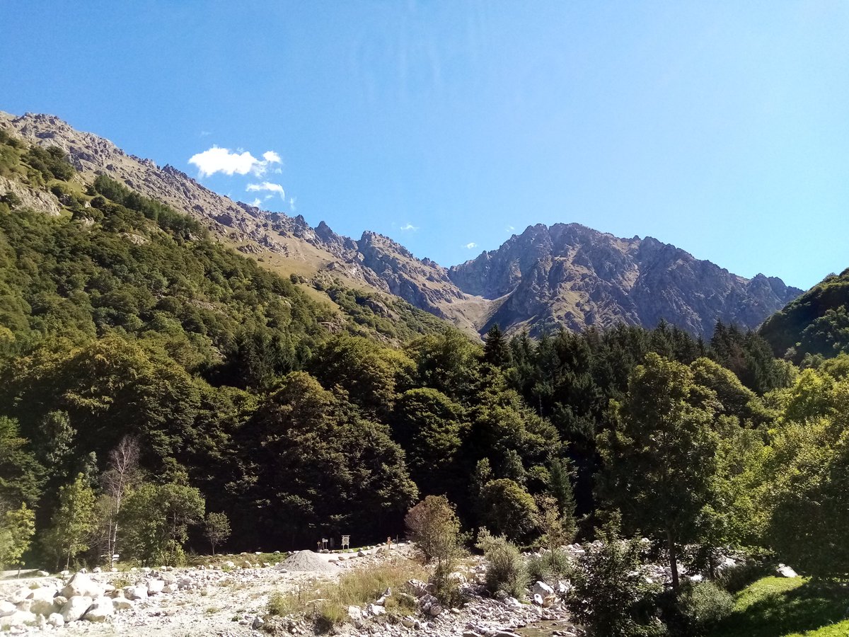 PITER ALPIMED tweet media