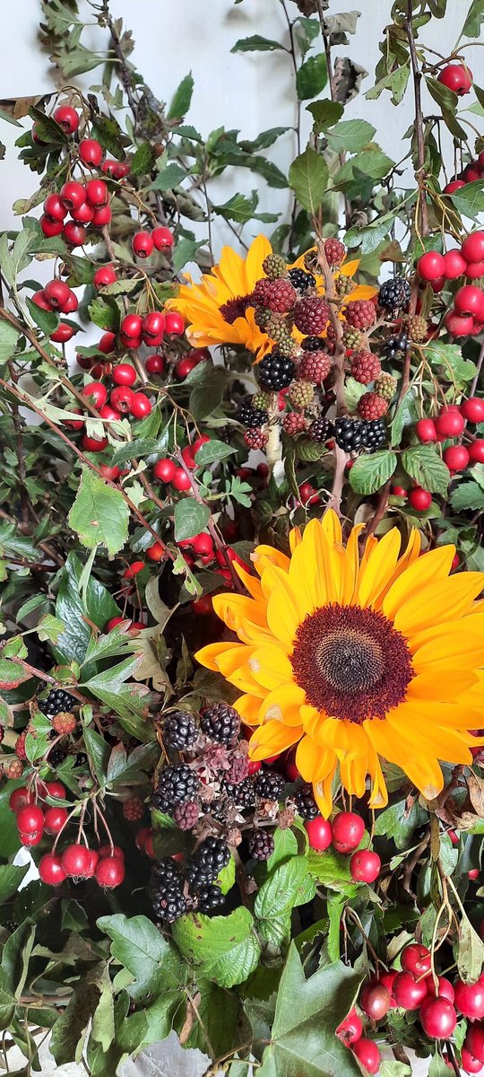 _WEAG's tweet photo. A celebration of Autumn in the village church at the moment! 🌻🍂

Lovely to see wild Blackberries, Hawthorn and Ivy used in a floral arrangement 🧡 https://t.co/HN5SeOtPfD